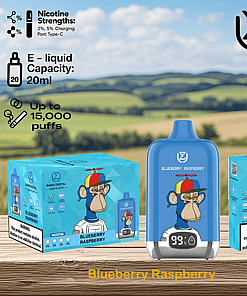 Blueberry Raspberry flavored disposable vape device with a cartoon monkey wearing a propeller hat, 20ml e-liquid capacity, up to 15,000 puffs, available nicotine strengths, and a warning about nicotine content.