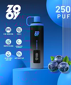 Promotional image for ZOOY Blueberry Ice vape device advertising 25,000 puffs, featuring the product surrounded by blueberries and icons highlighting features like a 0.5Ω mesh coil, type-C charging, mouth-to-lung draw, animated screen, adjustable airflow, and anti-dust cap.
