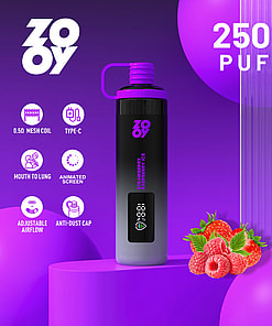 Promotional image for a ZOOY vape device in strawberry raspberry ice flavor, highlighting features like 25,000 puffs, mesh coil, type-C charging, mouth to lung design, animated screen, adjustable airflow, and anti-dust cap, with strawberries and raspberries pictured at the bottom right.