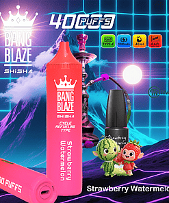 Promotional image for Bang Blaze Shisha featuring a pink disposable vape labeled 'Strawberry Watermelon,' colorful icons highlighting features like type-C charging, 1000mAh battery, 40ml capacity, and 0.6Ω mesh coil, a hookah in the background, a bottle labeled 'Strawberry Watermelon,' and two cute cartoon characters resembling a strawberry and a watermelon against a neon grid and mountain backdrop.