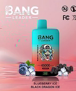 Bang Leader disposable vape device with a turquoise and red gradient design, featuring a monkey illustration, 45000 puffs label, and digital battery indicator, displayed with blueberries, mulberries, and ice cubes on a pink background; flavors listed as Blueberry Ice and Black Dragon Ice.