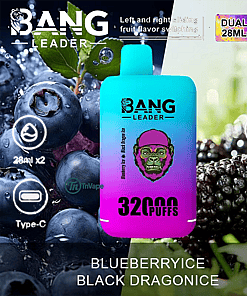 Colorful Bang Leader vape device in front of close-up blueberries and black dragon fruit, with text highlighting dual pods, 32,000 puffs, Type-C charging, 650mAh battery, and dual mesh features.