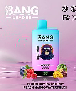 Colorful Bang Leader vape device with fruit illustrations of blueberry, raspberry, peach, mango, and watermelon, labeled 45,000 puffs, surrounded by corresponding fruits on a pastel background.