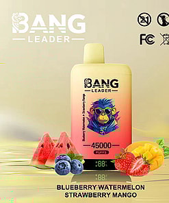Colorful Bang Leader vape device surrounded by illustrations of watermelon, blueberries, strawberries, and mango on a light gradient background, highlighting the flavors and 45,000 puffs feature.