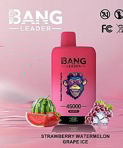 Bang Leader disposable vape in red and pink, featuring a cartoon monkey logo, fruits including strawberry, watermelon, grapes, ice cubes, and text indicating 45,000 puffs and strawberry watermelon grape ice flavors.