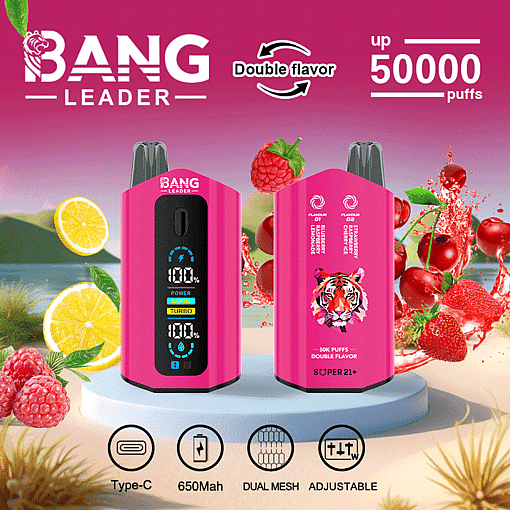 Promotional image for Bang Leader disposable vape device in pink, highlighting dual flavors, up to 50,000 puffs, type-C charging, a 650mAh battery, dual mesh feature, adjustable settings, and fruity elements like lemon, raspberry, and strawberry.