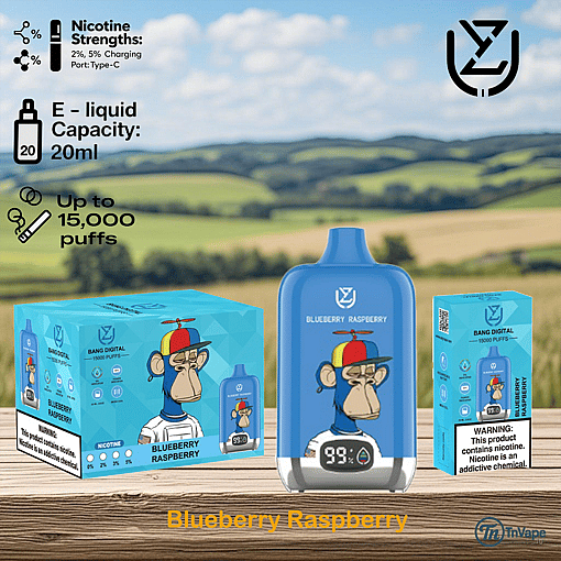 Blueberry Raspberry flavored disposable vape device with a cartoon monkey wearing a propeller hat, 20ml e-liquid capacity, up to 15,000 puffs, available nicotine strengths, and a warning about nicotine content.