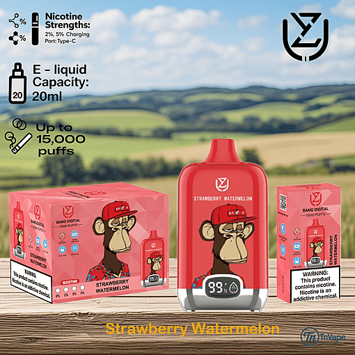 Strawberry Watermelon flavored disposable vape device with a 20ml e-liquid capacity, digital display, up to 15,000 puffs, and packaging featuring a cartoon monkey wearing a red hat.