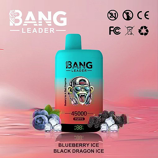 Bang Leader disposable vape device with a turquoise and red gradient design, featuring a monkey illustration, 45000 puffs label, and digital battery indicator, displayed with blueberries, mulberries, and ice cubes on a pink background; flavors listed as Blueberry Ice and Black Dragon Ice.