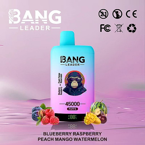 Colorful Bang Leader vape device with fruit illustrations of blueberry, raspberry, peach, mango, and watermelon, labeled 45,000 puffs, surrounded by corresponding fruits on a pastel background.