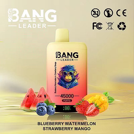 Colorful Bang Leader vape device surrounded by illustrations of watermelon, blueberries, strawberries, and mango on a light gradient background, highlighting the flavors and 45,000 puffs feature.