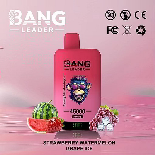 Bang Leader disposable vape in red and pink, featuring a cartoon monkey logo, fruits including strawberry, watermelon, grapes, ice cubes, and text indicating 45,000 puffs and strawberry watermelon grape ice flavors.